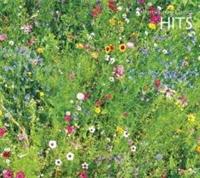 <�n�[�g�t���E�N���V�b�N> 10.�q�b�g! �`TV/�f��̃N���V�b�N