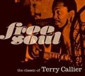 FREE SOUL. the classic of TERRY CALLIER