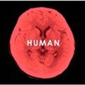 HUMAN(通常盤)