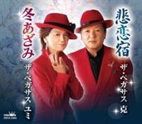 �yMAXI�z�ߗ��h(�}�L�V�V���O��)