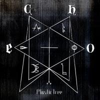 echo(ʏ)