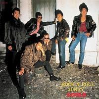 ROCK'N' ROLL JUNKY(WPbg)