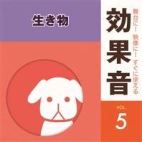 �����!�f����!�����Ɏg������ʉ� 5.������