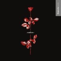 VIOLATOR