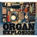 ORGAN EXPLOSION