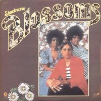 �V���b�N�E�F�C��