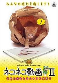 �l�R�l�R����@�Q