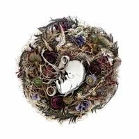 �yMAXI�z��������������(�}�L�V�V���O��)