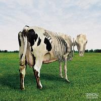 qS̊@ Atom Heart Mother is on the edge