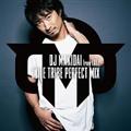 EXILE TRIBE PERFECT MIX