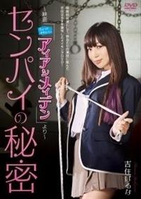 �Z���p�C�̔閧�@�`�f��u������Ƃ��킢���A�C�A�����C�f���v���`