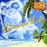 �yMAXI�zWonderful Life(�}�L�V�V���O��)