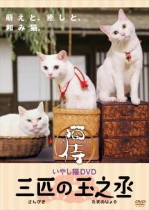 いやし猫ＤＶＤ 猫侍 三匹の玉之丞 | 宅配DVDレンタルのTSUTAYA DISCAS