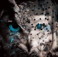 eat sorrow and happiness