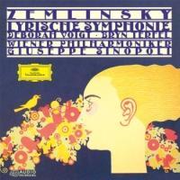 �c�F�������X�L�[:���������