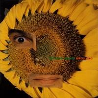 VNh[