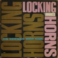 ���b�L���O�E�z�[���Y(SHM-CD)