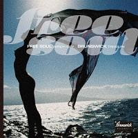 �t���[�E�\�E���E�E�B���f�B�E�V�e�B�`�u�����Y�E�B�b�N�E�g���W���[