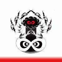 Chaotic Vibes Orchestra(ʏ)