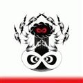 Chaotic Vibes Orchestra(ʏ)