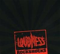 ROCK SHOCKS
