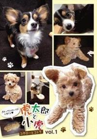 �Ց��Y�Ə��Ձ@�������D�P