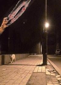 ���i���I�@�|�@��������q�L�̋��낵�����镜�Q