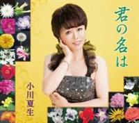 �yMAXI�z�N�̖���(�}�L�V�V���O��)