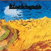 �u���b�N�o�[�Y