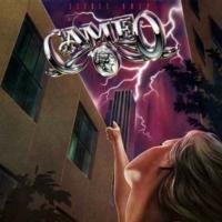 �V�[�N���b�g�E�I�[����