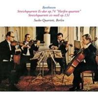 �x�[�g�[���F��:���y�l�d�t�� ��10�� �σz���� ��i74 �u�n�[�v�v ���y�l�d�t�� ��14 