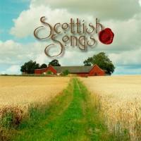 �u�̌��`�X�R�e�B�b�V���E�\���O�X