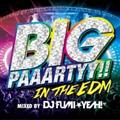 BIG PAAARTYY!! IN THE EDM mixed by DJ FUMI★YEAH!
