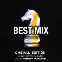 BEST MIX`CHEVAL EDITION` EDM&ALL MIX PARTY/IjoX̉摜EWPbgʐ^