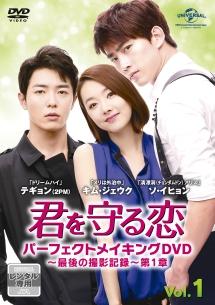 君を守る恋DVD ～Who Are You～ - DVD/ブルーレイ