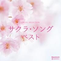 �T�N���E�\���O �x�X�g