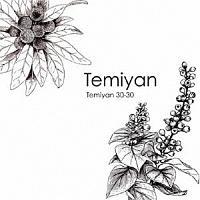 TEMIYAN 30-30