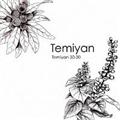 TEMIYAN 30-30