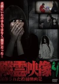 �ח�f���@���󂳂ꂽ���e����W�@�u�����D�S