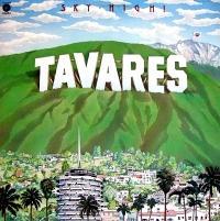 �X�J�C�E�n�C