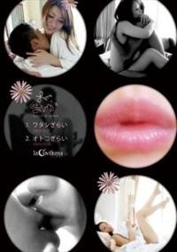 �k�������@�r�����������@���������������r���������@�I�g�R���炢�@���^�V���炢