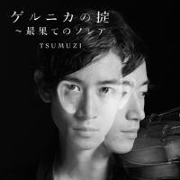 �Q���j�J�̝|�`�ŉʂẴ\���A