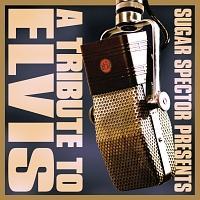 A TRIBUTE TO ELVIS