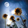 CLASSICAL DREAMS 6 obn