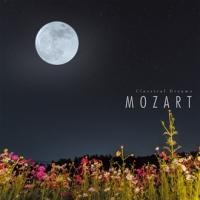 CLASSICAL DREAMS 7 [c@g