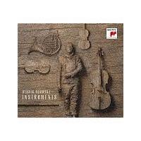 �C���X�g�������c