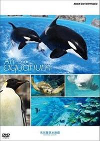 �`���@�`���������������@�|�����ف|�@���É��`������