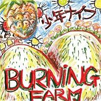 Burning Farm