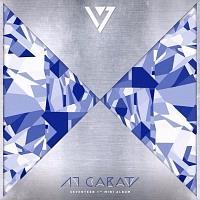 1ST MINI ALBUM:17 CARAT
