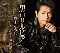 �yMAXI�z�����T���r�A(�}�L�V�V���O��)